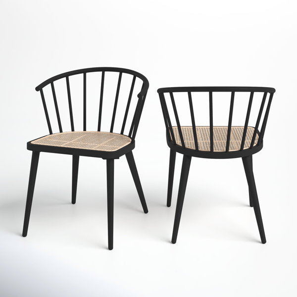Adelheide Patio Dining Side Chair (Set of 2)