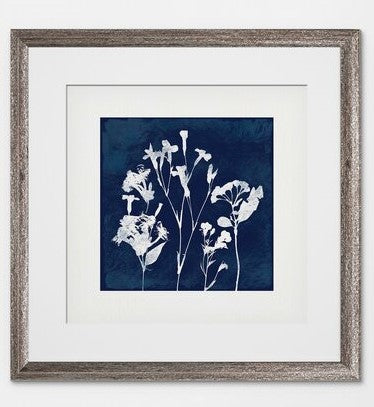 Cyanotype Botanical I 2 Piece Framed Print Set  2