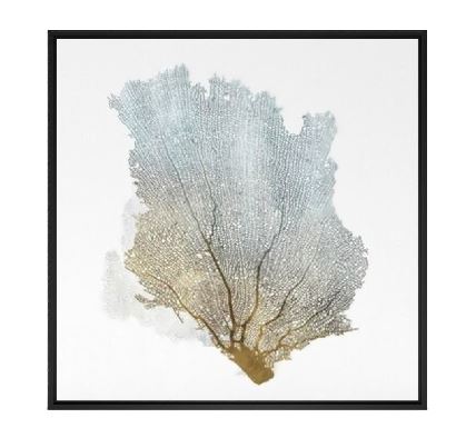 Delicate Coral I by Isabelle Z Painting on Canvas With Frame-32''x32''