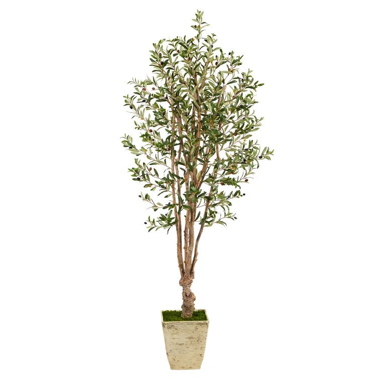Faux Olive Tree in Planter