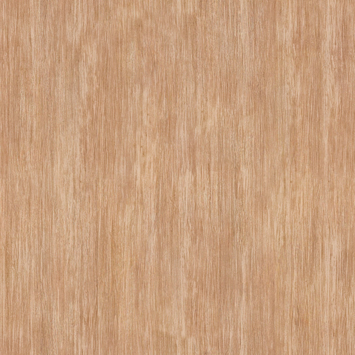 Delaney Decorative Ball Table Accent with Bead Trim