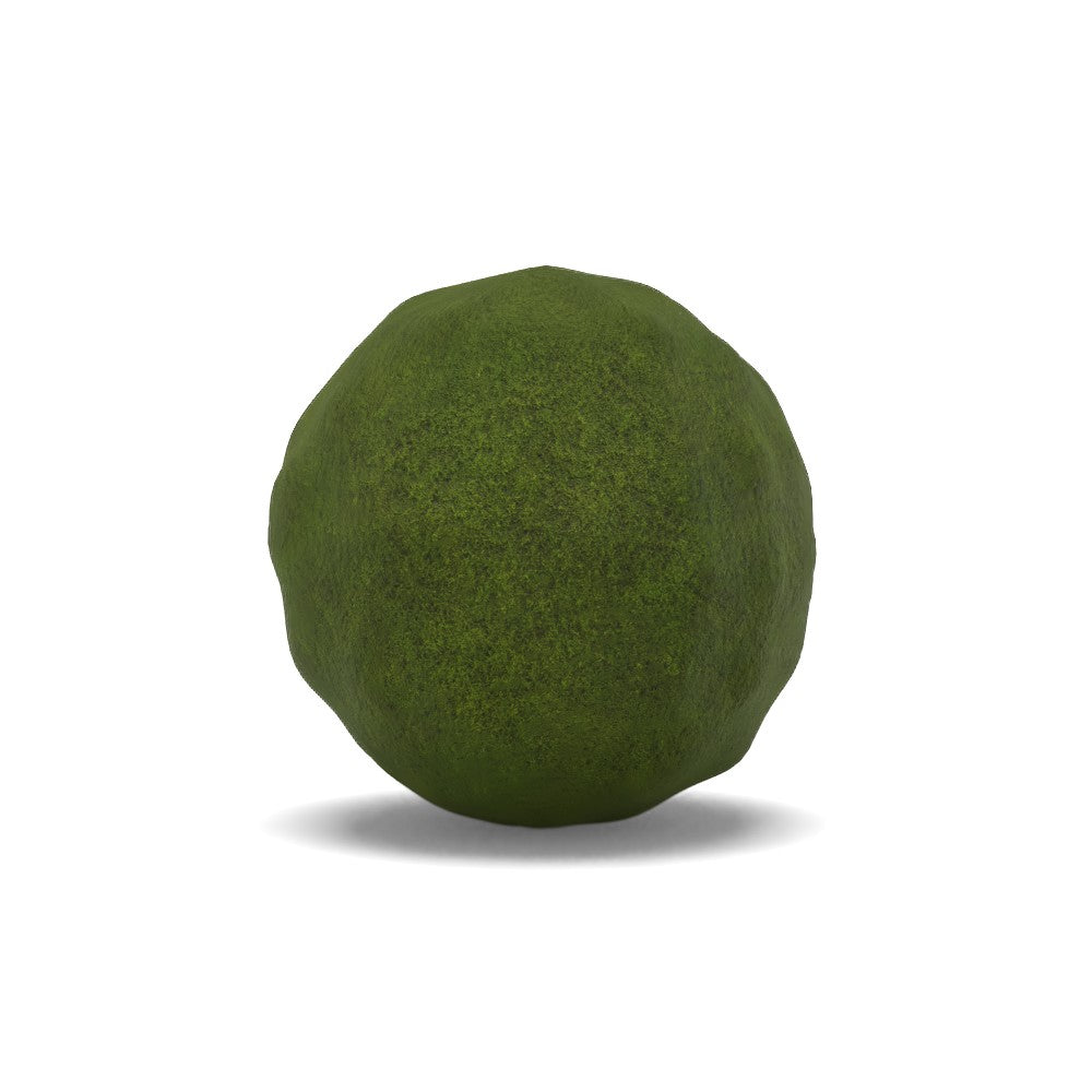 Moss Sphere