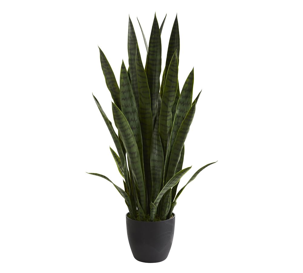 Sansevieria Faux Plant