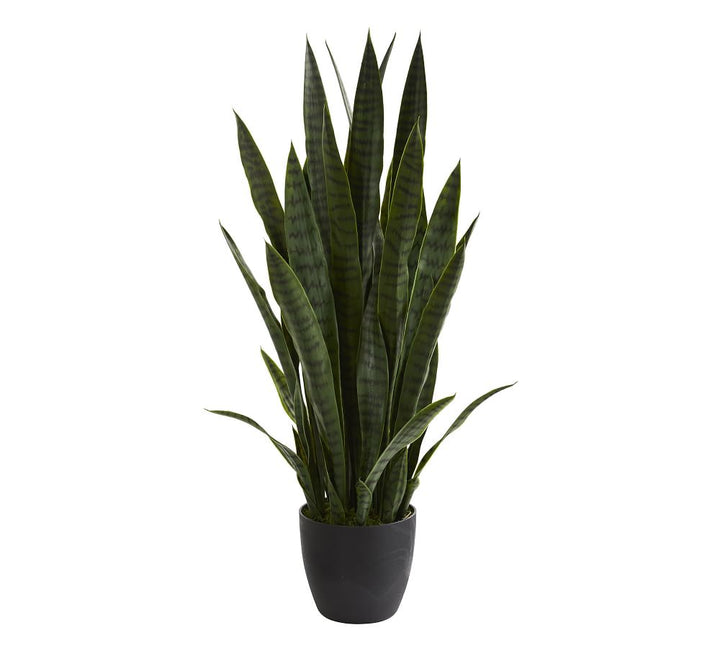 Sansevieria Faux Plant