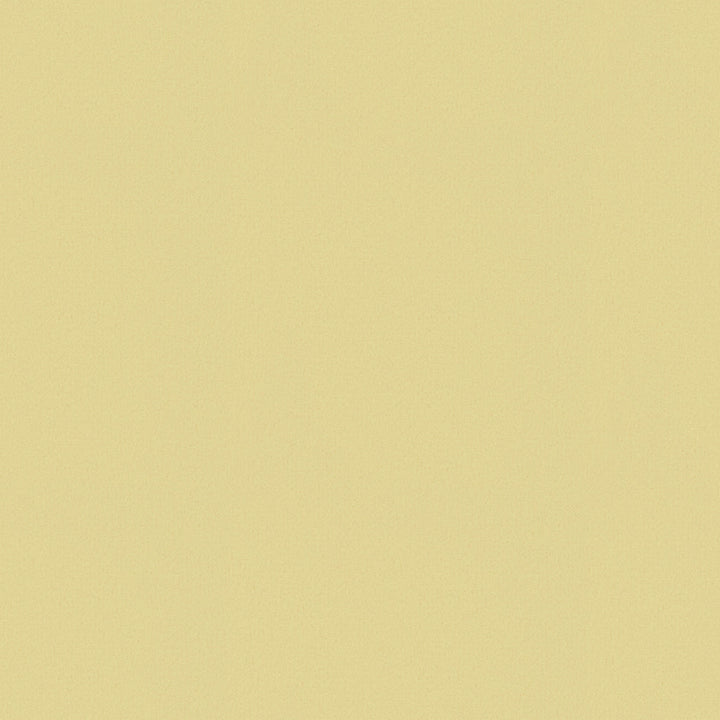 Sun Pillow Without Insert 16"x16"