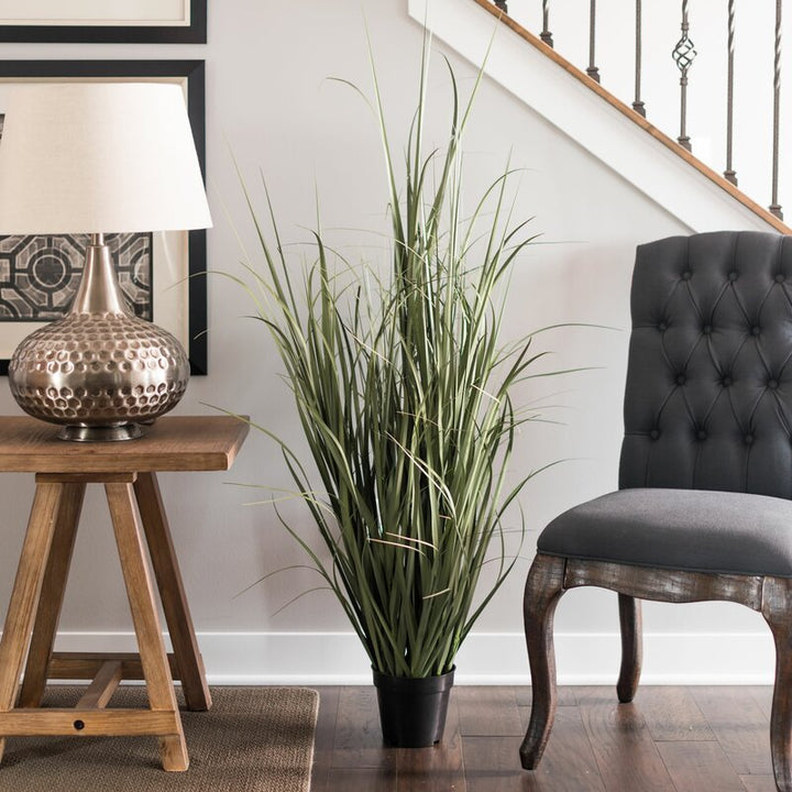 Floor Foliage Grass in Pot