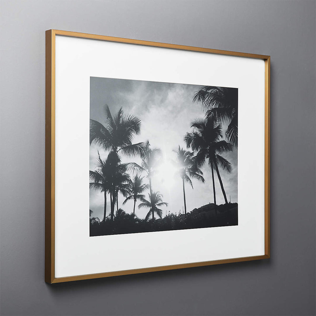 Gallery Brass Frame With White Mat 16"X20"