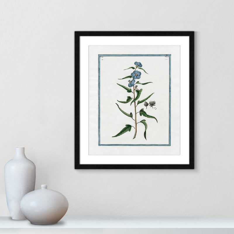 Shabby Elegance Botanical I Framed Art Full Bleed
