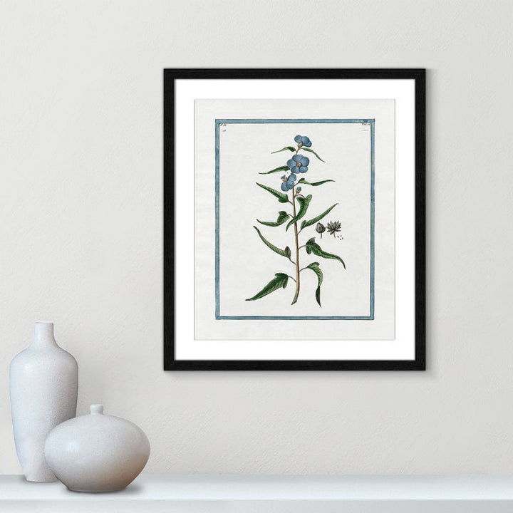 Shabby Elegance Botanical I Framed Art Full Bleed