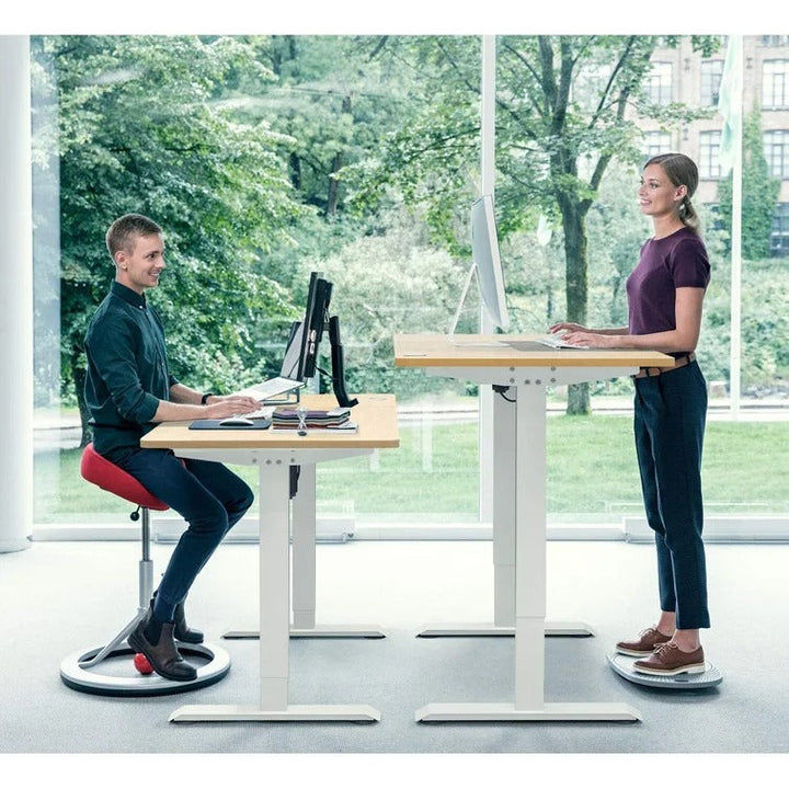 Home Office Electric Height Adjustable Standing Desk