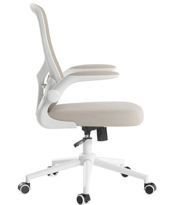 Accent Office Chair