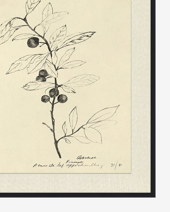 Floral Study 1 With Frame-21.5"X25.5"