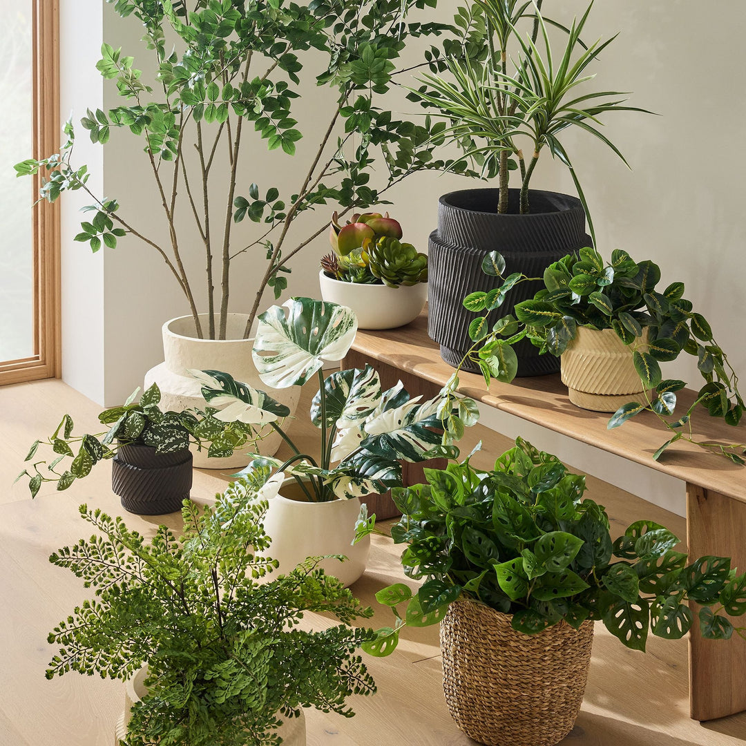 Faux Potted Trailing Monstera Plant