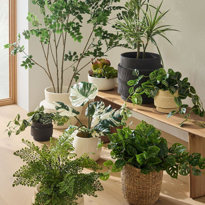 Faux Potted Trailing Monstera Plant