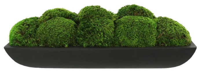 Preserved Moss Arrangement In Oblong Planter