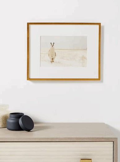 Llama In The Snow Wall Art