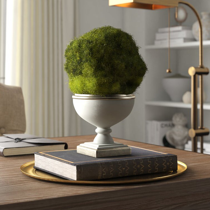 Preserved Moss Topiary in Urn