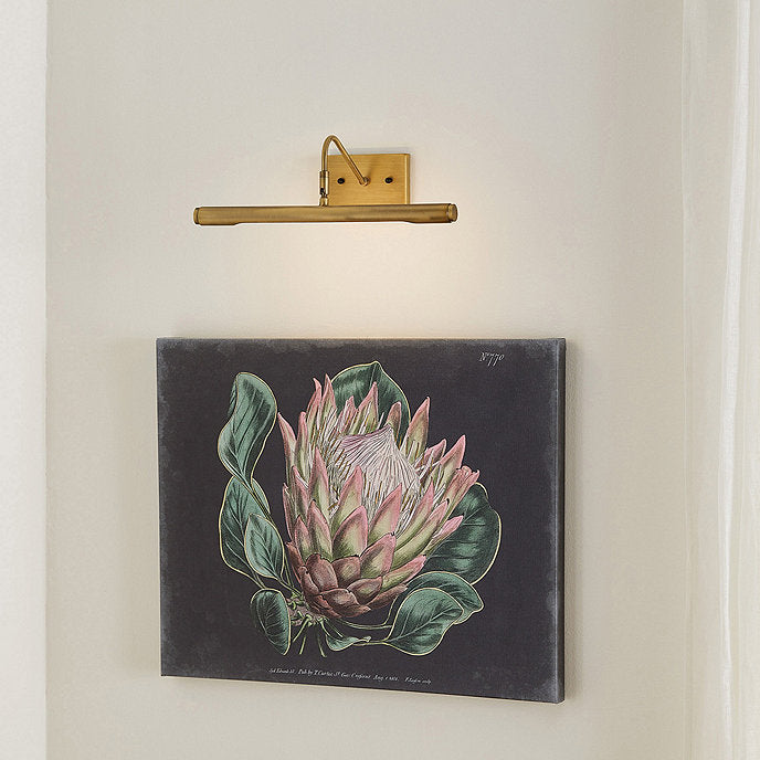 LED Art Display Sconce