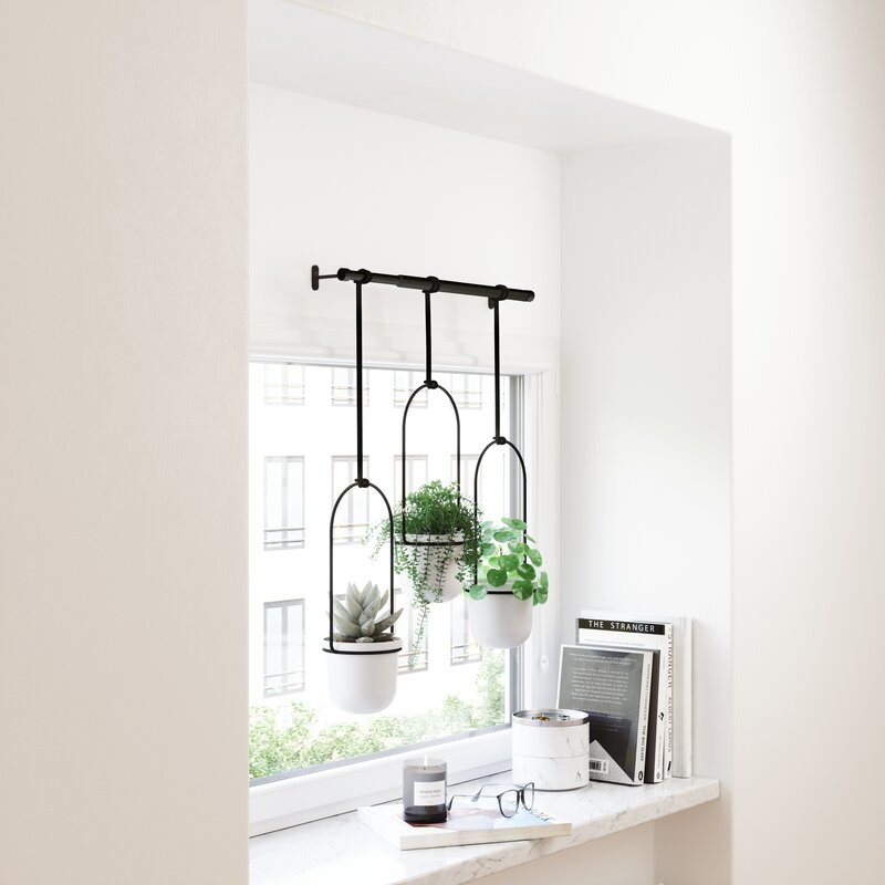 Triflora Hanging Planter