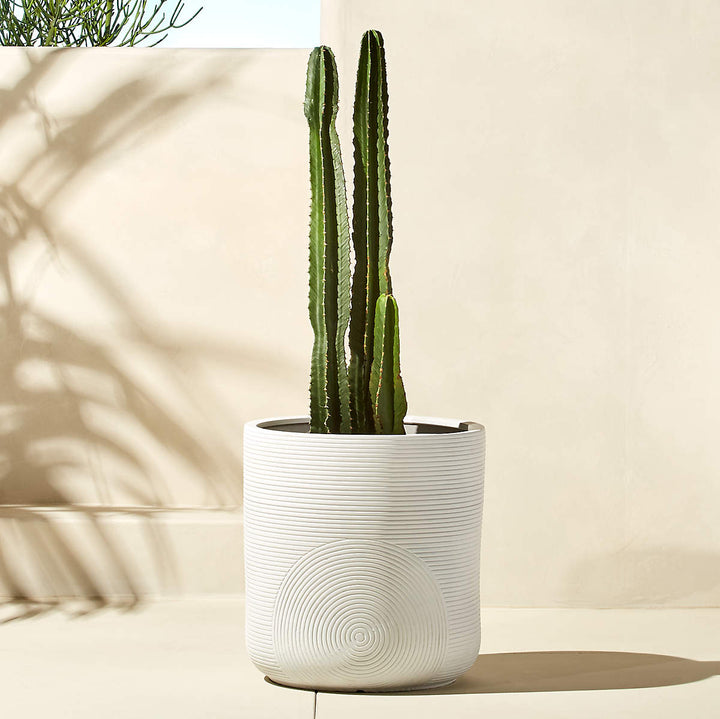 Zen Large White Planter