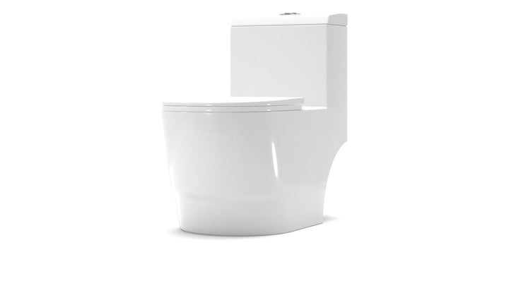 Dual Flush Elongated One Piece Toilet Seat Included