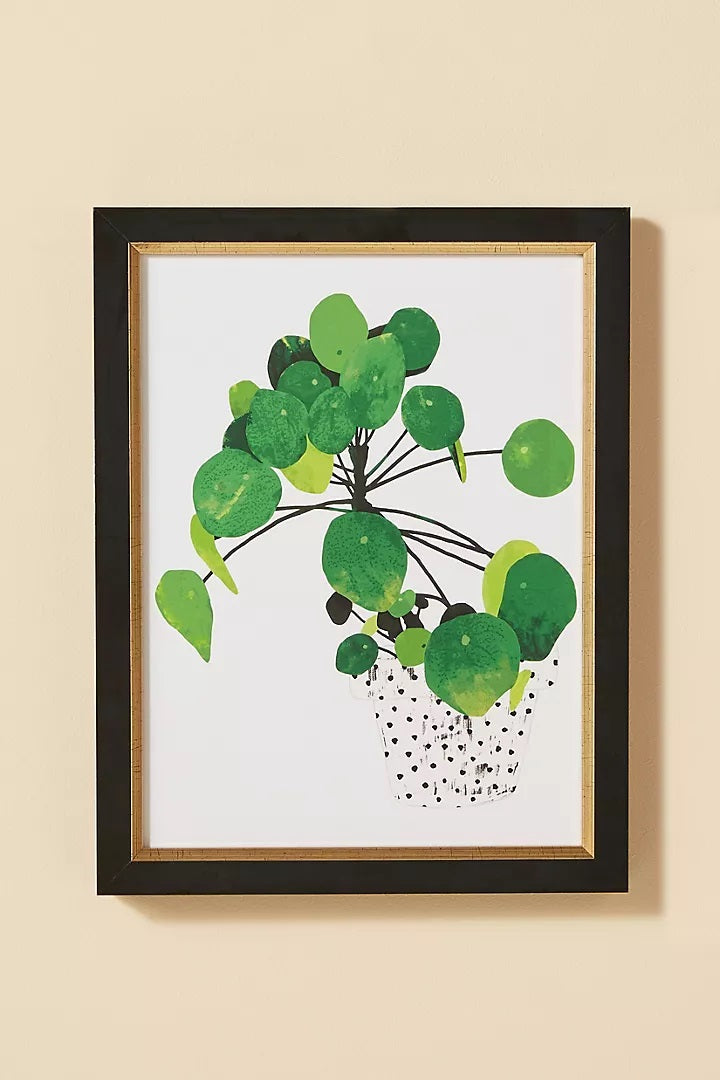Pila Peperomioides Wall Art With Frame