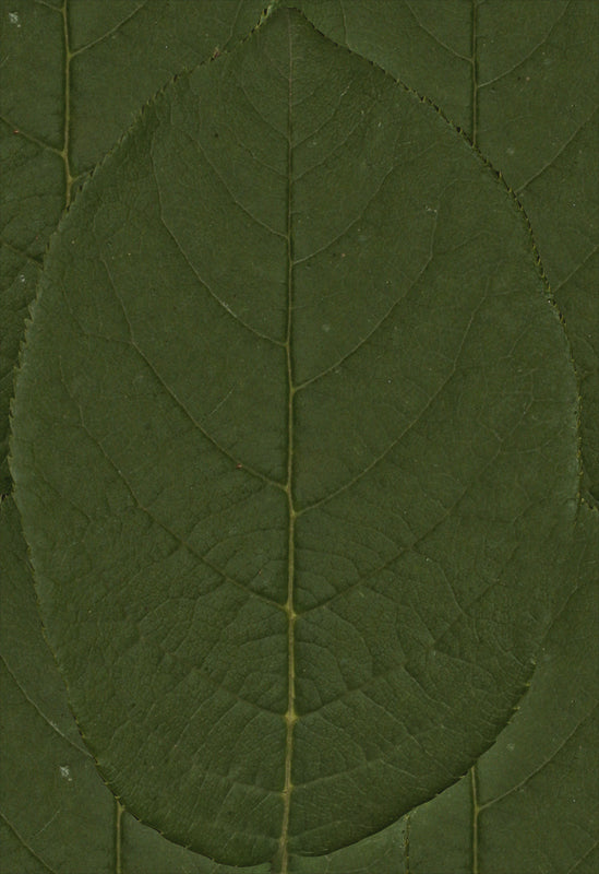 Mini Wild Flower Spray-Set of 4