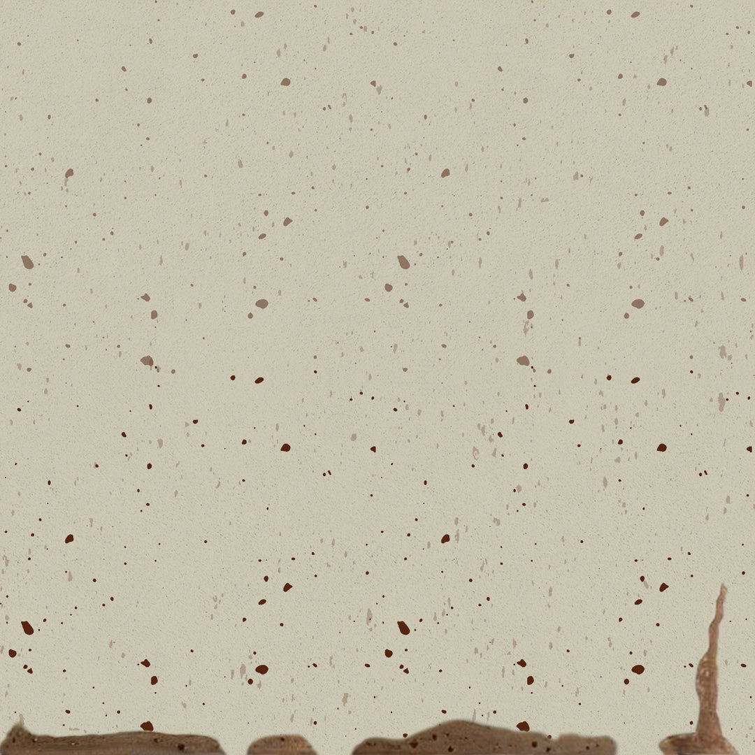 Terra Cotta Speckled Bowl