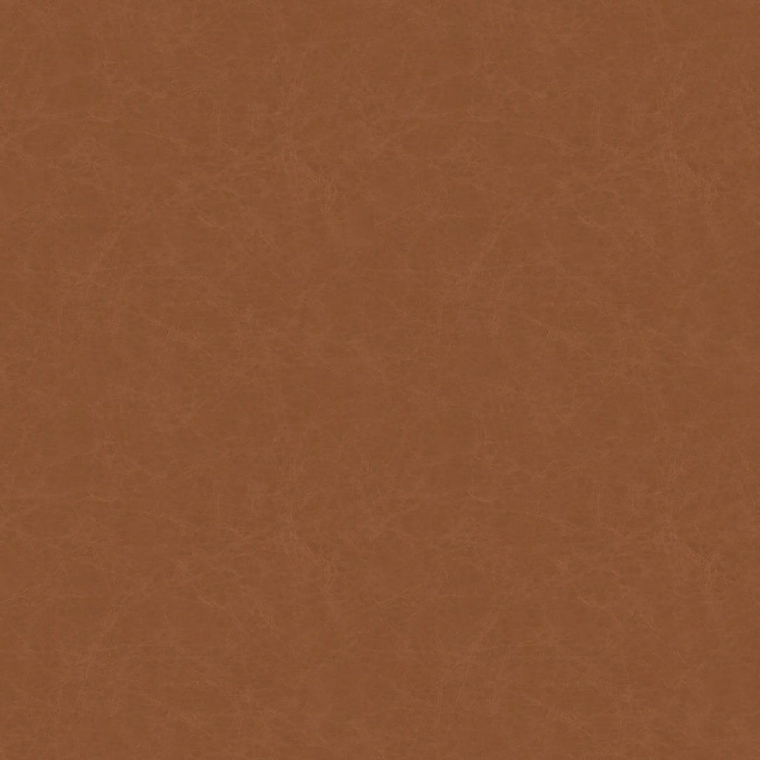 Urban Leather Sleeper Sofa