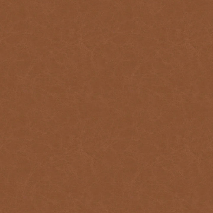 Urban Leather Sleeper Sofa