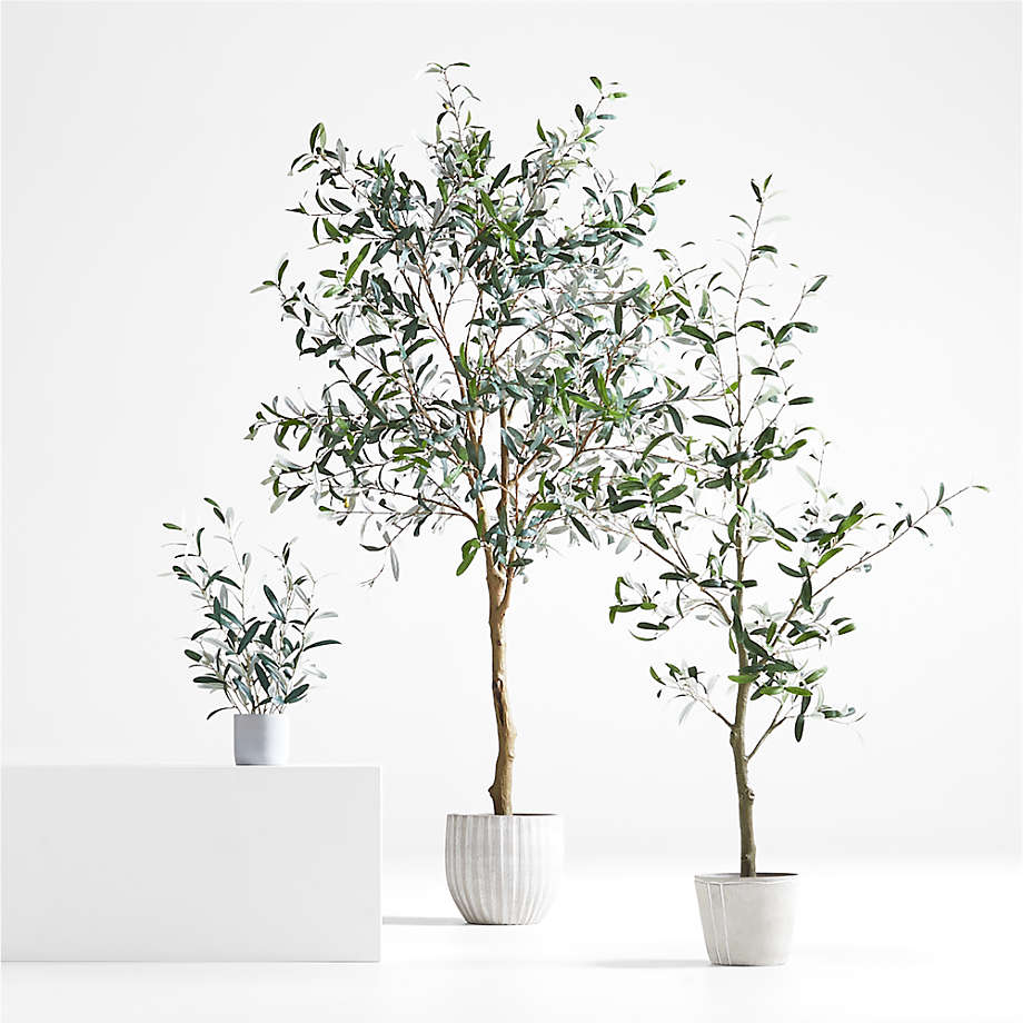 Potted Faux Olive Tree