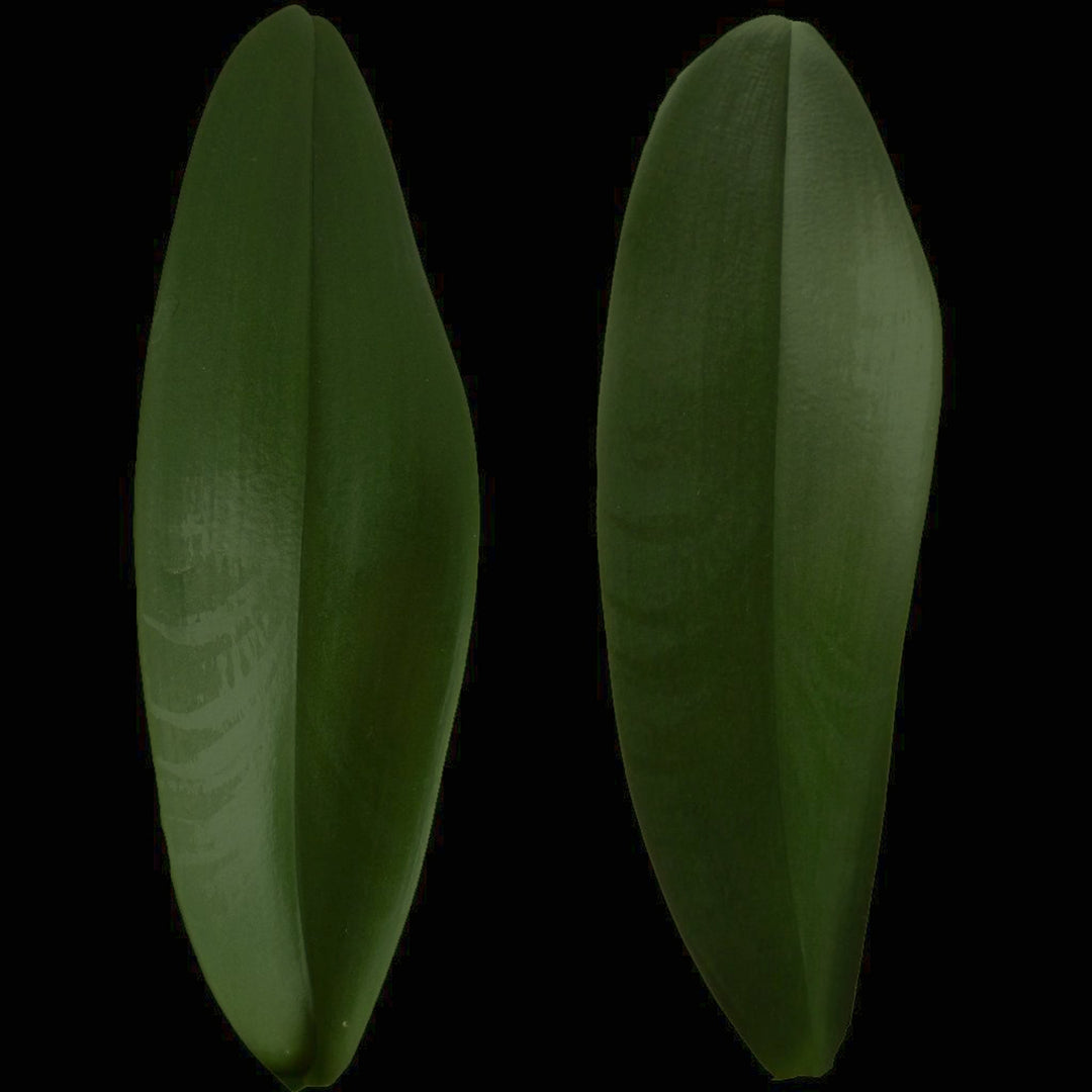 FAUX POTTED PHALAENOPSIS