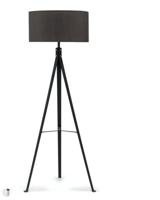 Treo Black Floor Lamp