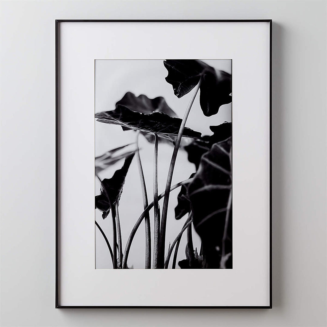 Gallery Black Picture With White Mat with frame 24"X36"