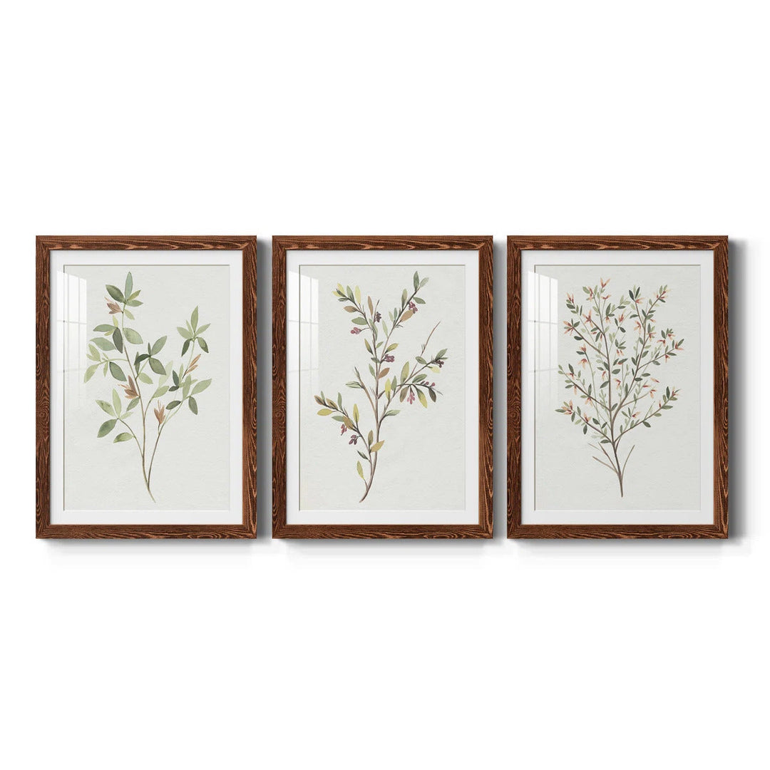 Single Sprig I - 3 Piece Picture Frame Painting 1