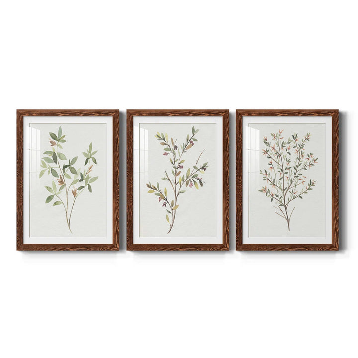 Single Sprig I - 3 Piece Picture Frame Painting 1