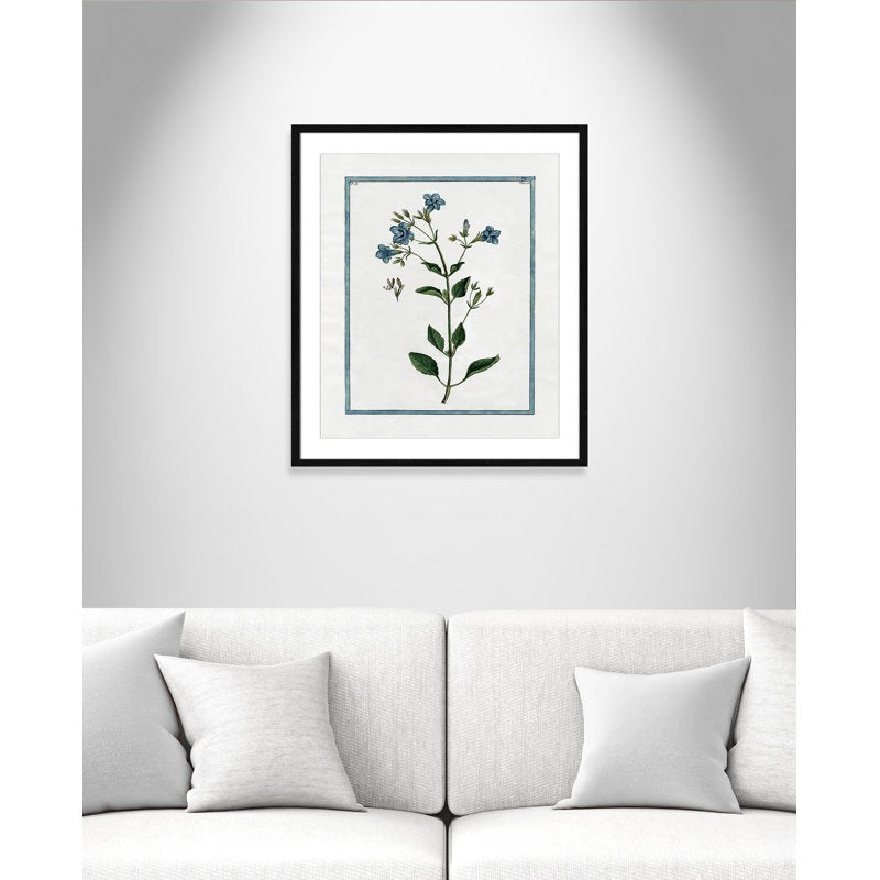 Shabby Elegance Botanical II Framed Art Full Bleed
