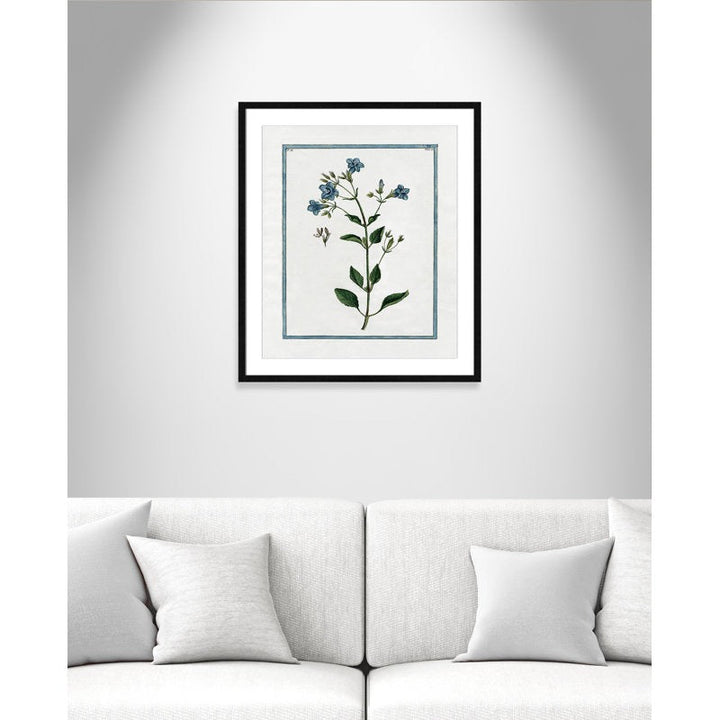 Shabby Elegance Botanical II Framed Art Full Bleed