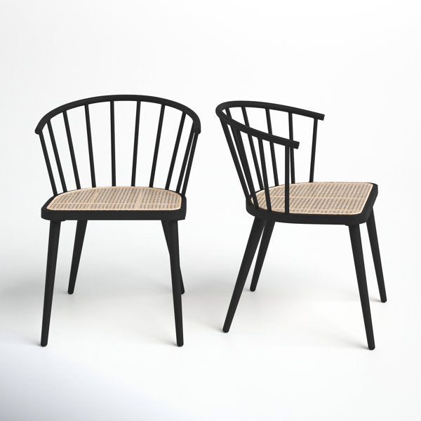 Adelheide Patio Dining Side Chair (Set of 2)