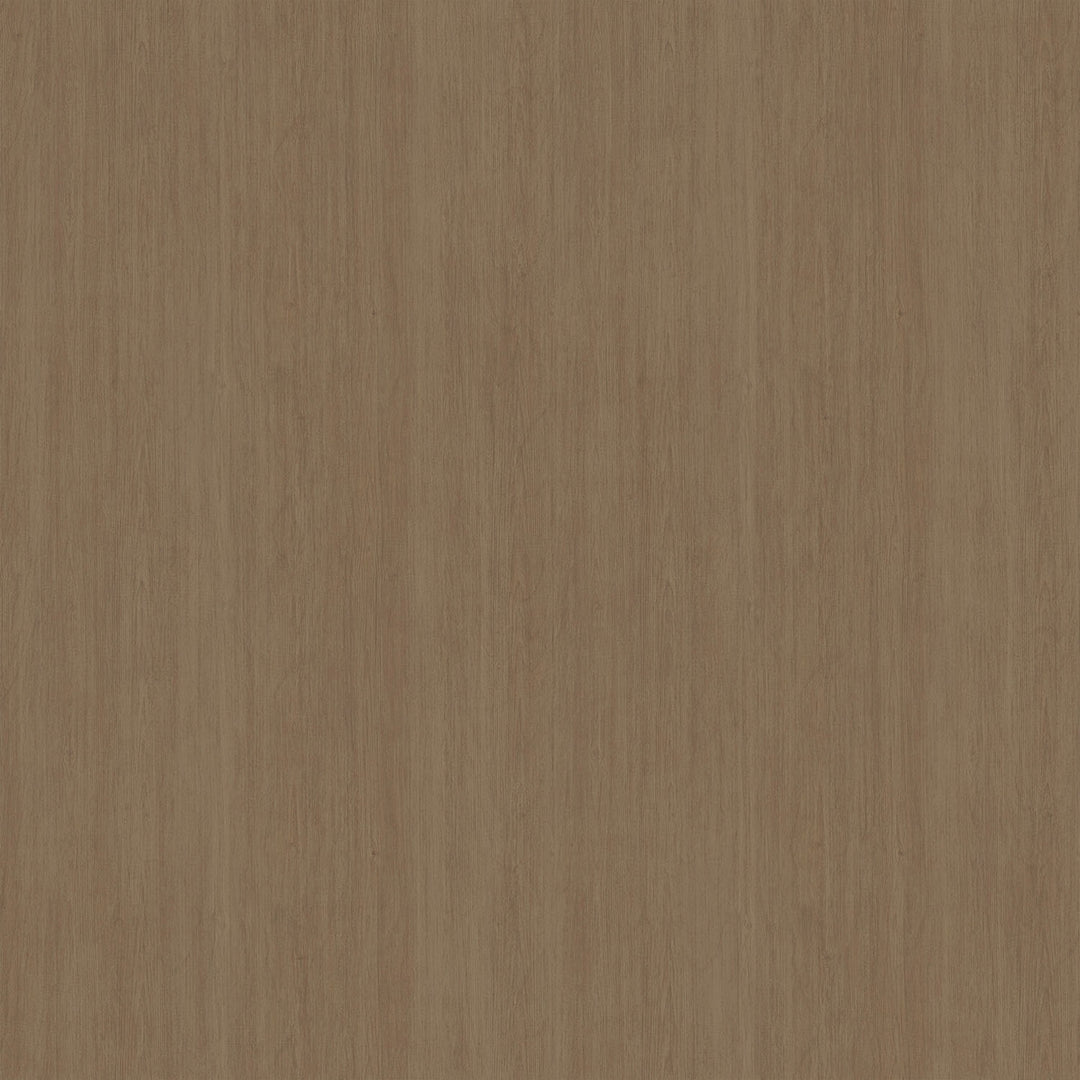 Wave Wash Dune by Tara Hogan