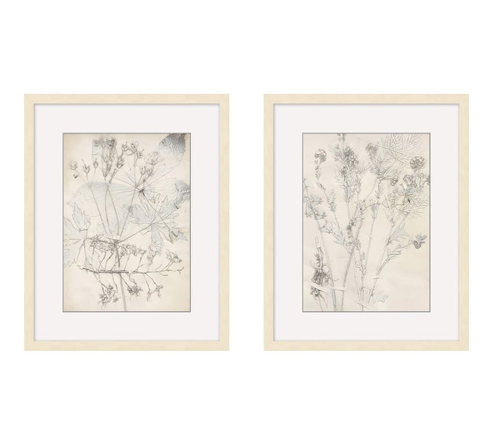 Ivory Foliage Prints With Frame