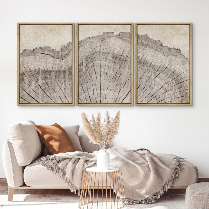 Tree Ring Rustic Oak Wood Farmhouse Decor Neutral Modern Organic Framed Canvas 3 Piece Print Art