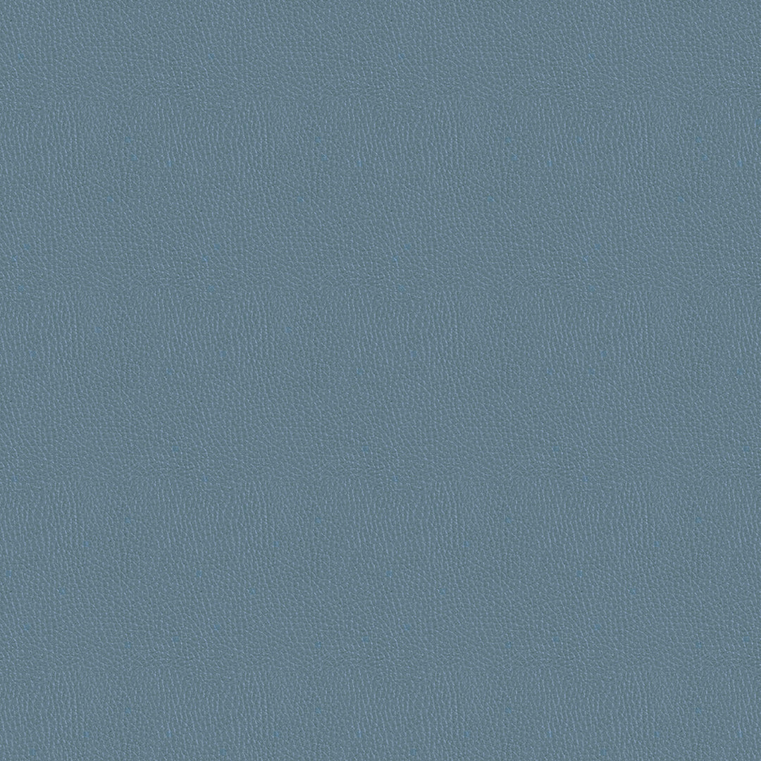 CRUISER PLUS RECORD PLAYER