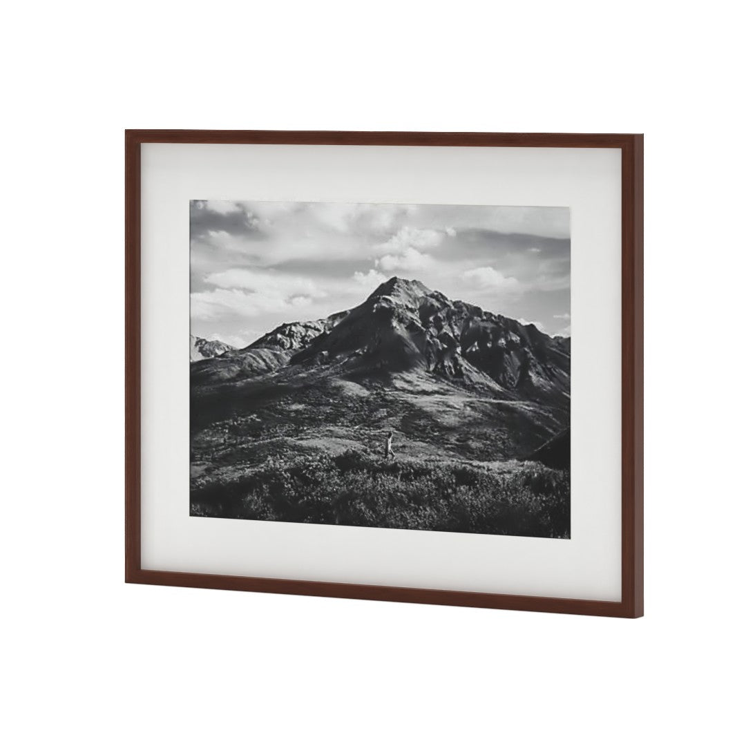 Gallery Walnut Frame With White Mat-18''x24''