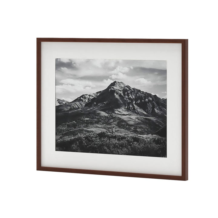 Gallery Walnut Frame With White Mat-18''x24''