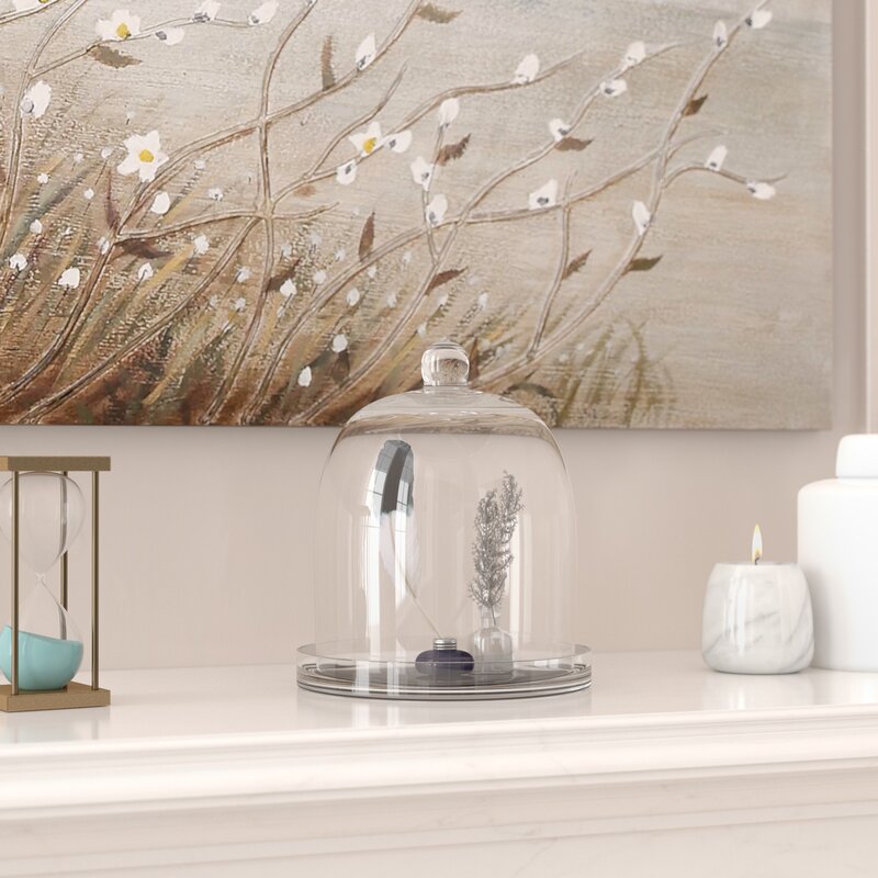 Clear Glass Dome Cloche