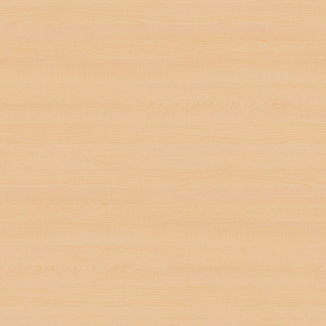 Minted Flora and Fauna Wall Art by Hannah Williams