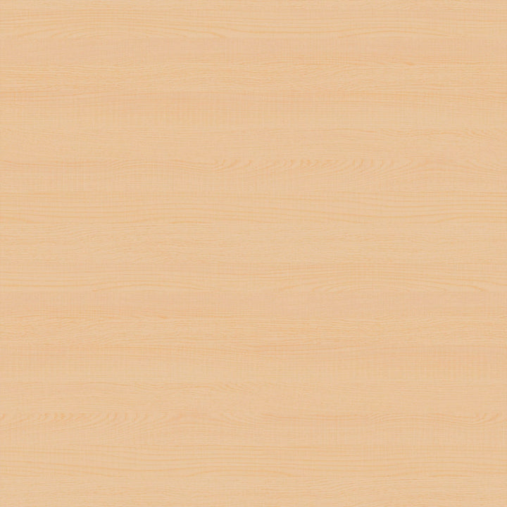 Minted Flora and Fauna Wall Art by Hannah Williams