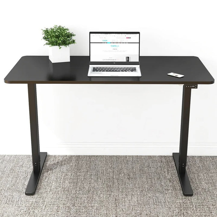 Home Office Electric Height Adjustable Standing Desk