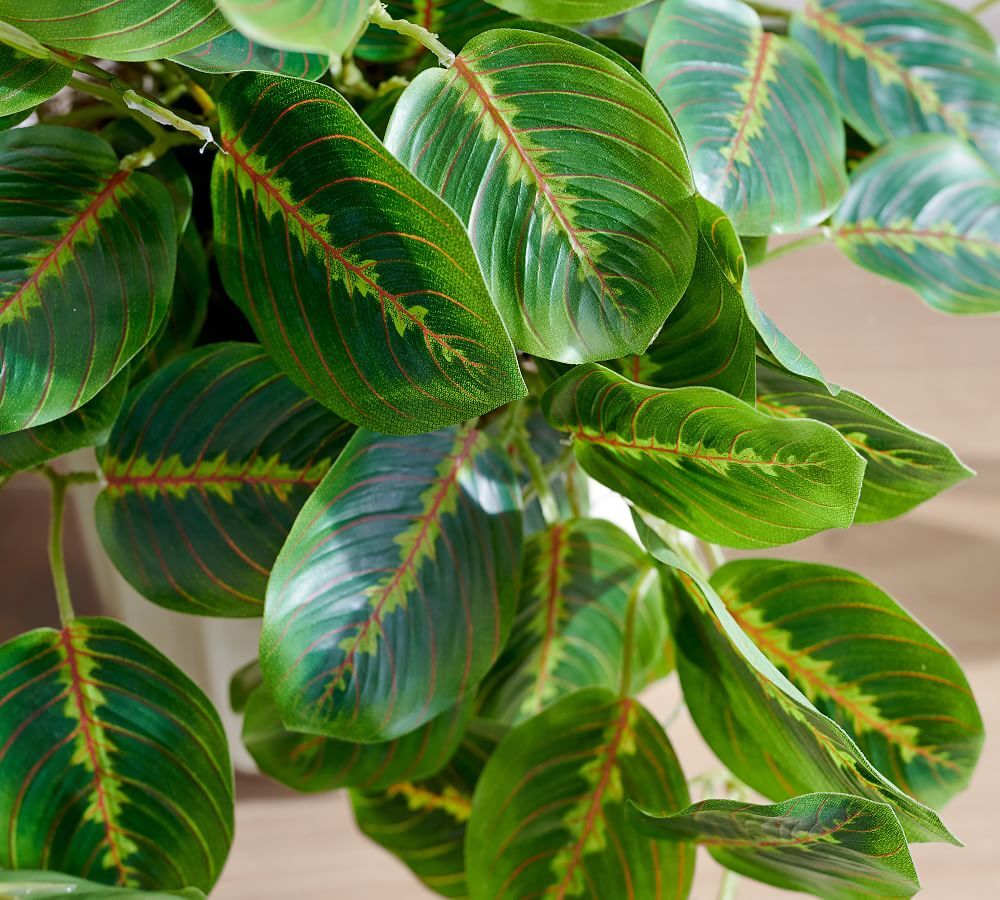 Faux Wandering Prayer Potted Houseplant